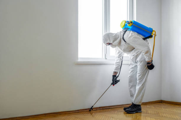 Professional Pest Control in Long Grove, IL